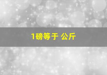 1磅等于 公斤